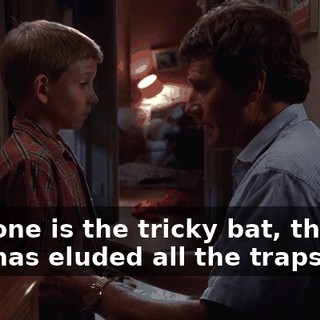 This one is the tricky bat, the one who has eluded all the traps.