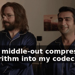 your middle-out compression algorithm into my codec.