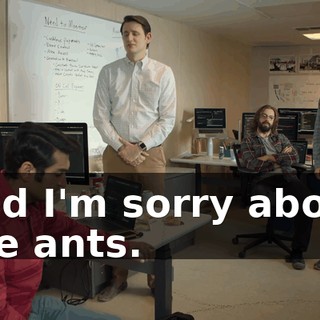 and I'm sorry about the ants.