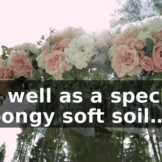 as well as a special spongy soft soil…