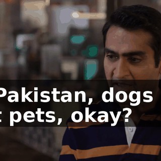 In Pakistan, dogs are not pets, okay?