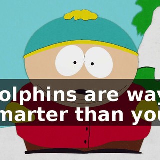 62076478-32ec-446b-a05d-38c3206f9b32.gif