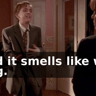 and it smells like wet dog.