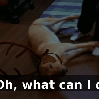 62765af1-9770-4af0-b5bb-887bddaf99f7.gif
