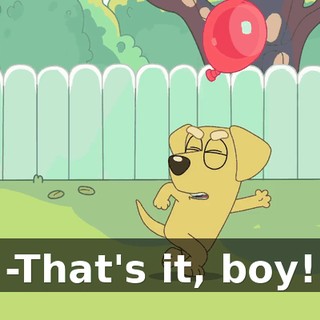 -That's it, boy!