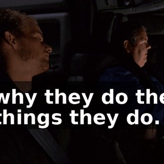 why they do the things they do.