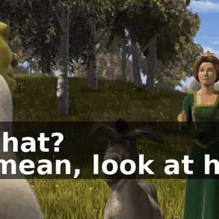 - What? - I mean, look at him.
