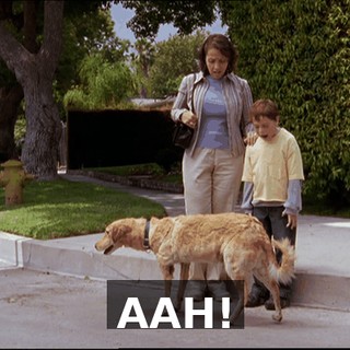 62d2962d-5669-4302-8145-6746da8c7b17.gif