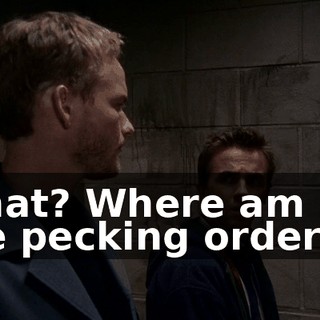 What? Where am I in the pecking order?