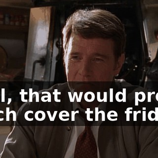 Well, that would pretty much cover the fridge,