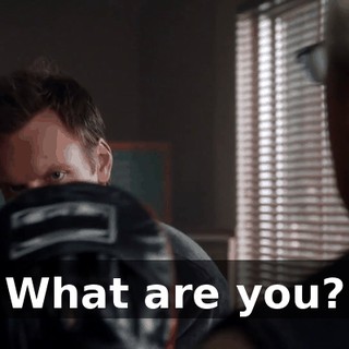 636f6921-e8c9-40c6-b61a-0c89a804d0a7.gif