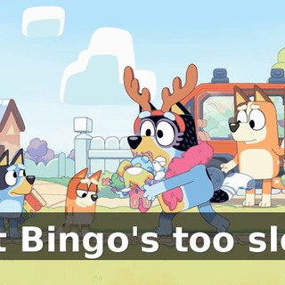 But Bingo's too slow.