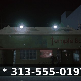 - * 313-555-0197