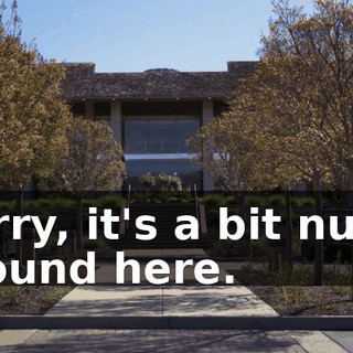Sorry, it's a bit nutty around here.