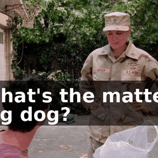 What's the matter, big dog?