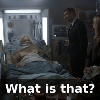 63f38102-7d6b-4bd3-9394-ab09bb318bac.gif