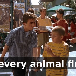 at every animal first,