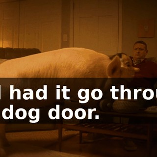 and had it go through my dog door.