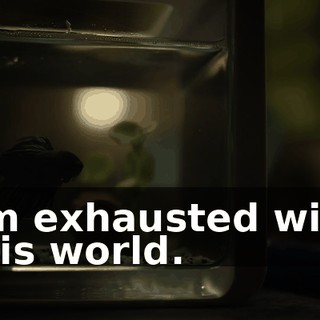 64128626-3c09-46f0-a584-cfcd734e89da.gif