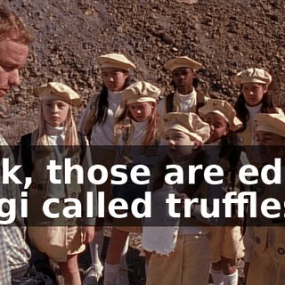 Look, those are edible fungi called truffles.