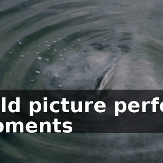 ♪ Hold picture perfect moments ♪
