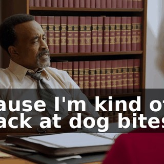 'Cause I'm kind of a mack at dog bites.