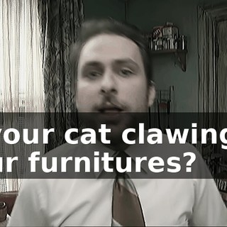 64982be6-931a-4514-9977-934f70404613.gif