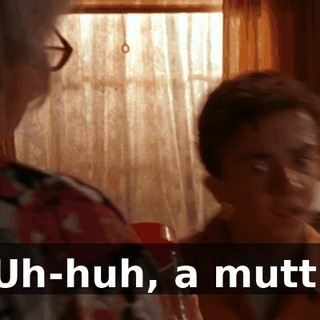 Uh-huh, a mutt.