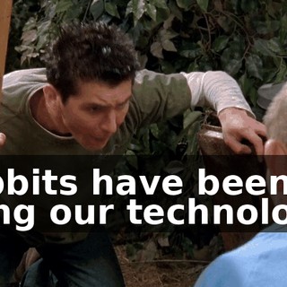 Rabbits have been using our technology!