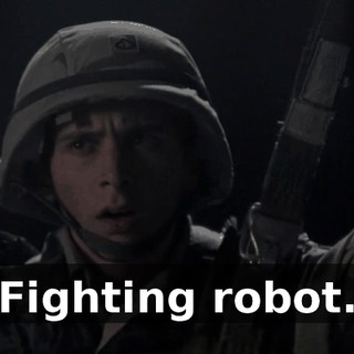 Fighting robot.