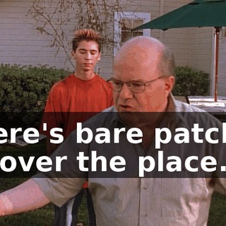 There's bare patches all over the place.