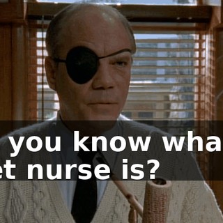 do you know what a wet nurse is?