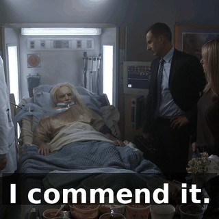 I commend it.