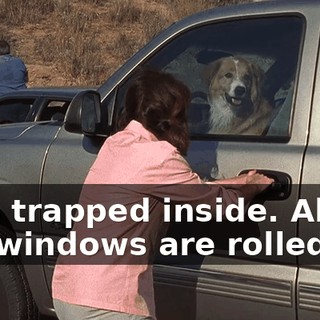 He's trapped inside. All the windows are rolled up.
