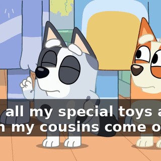 I put all my special toys away when my cousins come over.