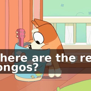 Where are the real bongos?