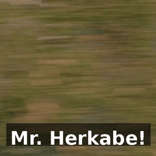 Mr. Herkabe!