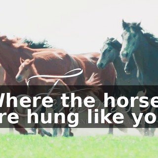 ♪ Where the horses are hung like you ♪