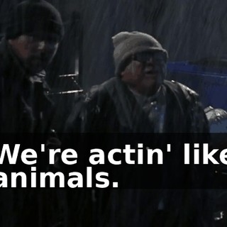 65c7915e-3552-4882-94ec-d35bc69f2903.gif