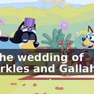 to the wedding of Sparkles and Gallahop!