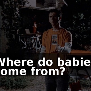 Where do babies come from?