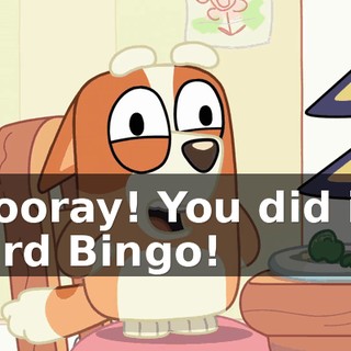 Hooray! You did it, Bird Bingo!
