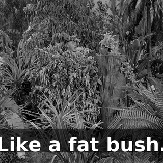 66ba3ef2-8b22-4fc0-a99e-319647d70f7e.gif