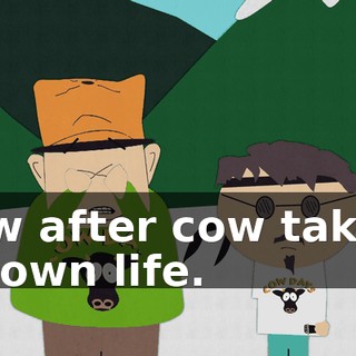 Cow after cow taking its own life.
