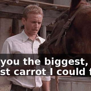 Got you the biggest, nicest carrot I could find.