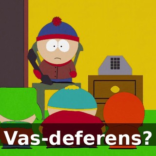673b519c-ea56-4a02-bb20-ba36cbad0b9b.gif