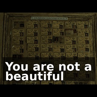 You are not a beautiful