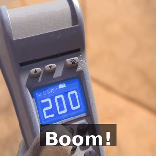 67a621db-259d-4766-9432-234153c47ead.gif