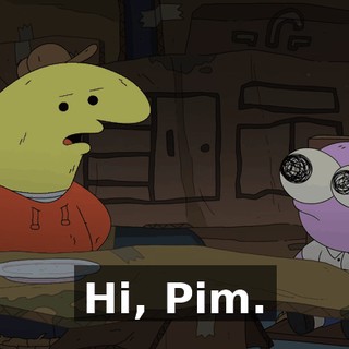 Hi, Pim.