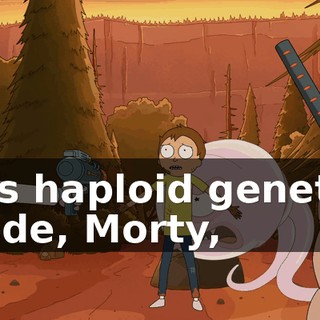 67ee30ef-f4e0-42db-8e3c-231b626c0039.gif